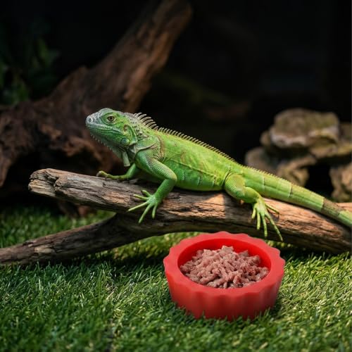 12 Pack Pangea Crested Gecko Food Dish, Reusable Small Reptile Feeding Dish, Water Bowl Crested Gecko Tank Accessories for Hermit Crab Tarantula Isopods Snails Lizard(Silicone, 6 Colors)