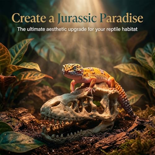 Anxingo Reptile Rock Reptile Cave Hideout for Snakes/Geckos/Lizards/Turtles and Other Amphibians, with Dinosaur Skull (Medium) - size: M