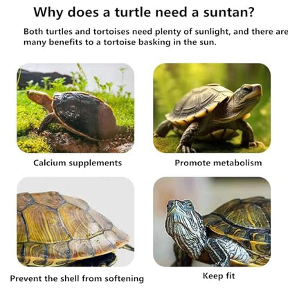 Turtle Resting Basking Platform, Double Ladder Turtle Climbing Ramp, Tortoise Resting Terrace for Frog Terrapin Reptile Amphibian Habitat Hideouts Floating Tank Décor (Green, Large) - size: Large