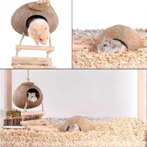 kathson 8PCS Natural Coconut Hut Hamster Hiding House Pet Cave Small Animal Cage Habitat Decor Hanging Hamster Toys with Ladder for Gerbils Hermit Crabs Dwarf Lizards