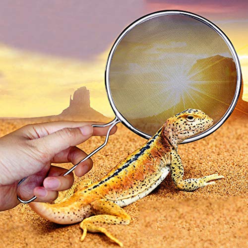 GLOGLOW Reptile Sand Shovel, Stainless Steel Scoop for Pet Waste Cleaning, Lightweight with High Density Mesh for Tortoise and Lizard Cleaning