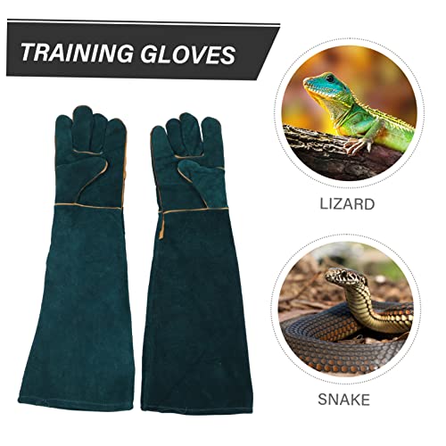 2Pcs Cowhide Pet Training Gloves Bite Protective Gloves for Reptiles Animals Dark Green Comfortable Flexible Design for Handling