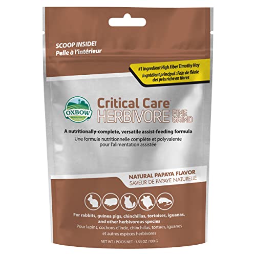 Oxbow Critical Care Herbivore Fine Grind, Rabbit & Guinea Pig, Papaya, 100g | Emergency Food for Rabbits and Guinea Pigs, Herbivore Recovery Diet, Papaya, Syringe or Tube Feeding, Complete Nutrition - size: 3.53 Ounce (Pack of 1)