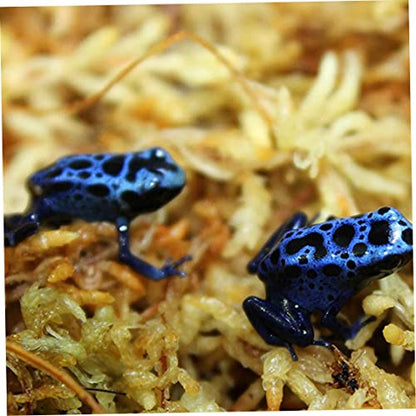 Sphagnum Moss Dried Spagnum Dry Moss for Reptiles Bedding and Terrarium Pet Supplies Sphagnum Moss for Plants Sphagnum Moss for Reptiles 150g