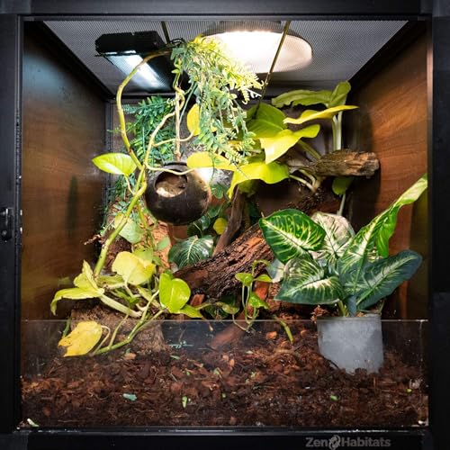 2'x2'x2' Reptile Enclosure - The Zen Habitat 3.0