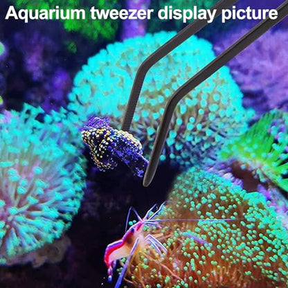 Coral Reef Grabber,Coral Feeder,Aquarium Veggie Feeder,Fish Tank Food Clip,Fish net(Reef Grabber and Coral Feeder Kits (Anti-Rust) - size: Reef grabber and coral feeder kits(ANTI-RUST)