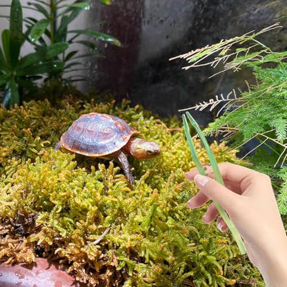 Glow Feeder Tweezers – Long Reptile Feeding Tool, Comfortable Grip, Sturdy Anti-Skid Construction, Precise Tip, Easy to Clean | Pet Feeding Accessory with Snake Lizard Tortoise Spider Frog Handling Fu