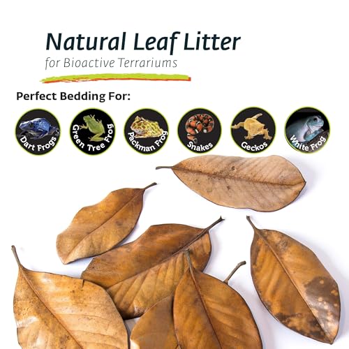 Galapagos (05150) Natural Magnolia Leaf Litter – Reptile Substrate for Bioactive Vivariums, Bearded Dragon, Gecko, and Snake Tank Accessories, 100% Natural Terrarium Décor, 4Qt