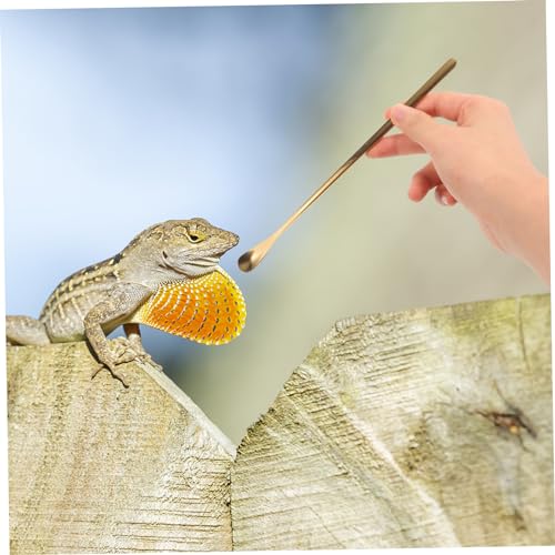 Levemolo 2Pcs Stainless Steel Pet Food Spoon for Reptiles Long Handle Feeding Tool for Lizards Turtles Small Animals Durable and Easy to Use Compact Design