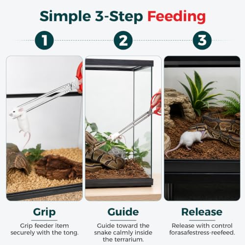 Snake Feeding Tongs, 15-Inch Stainless Steel Reptile Feeding Tongs with Serrated Tips | 15-Inch Reach, Secure Grip, One-Hand Control, Stainless Steel, For Reptiles