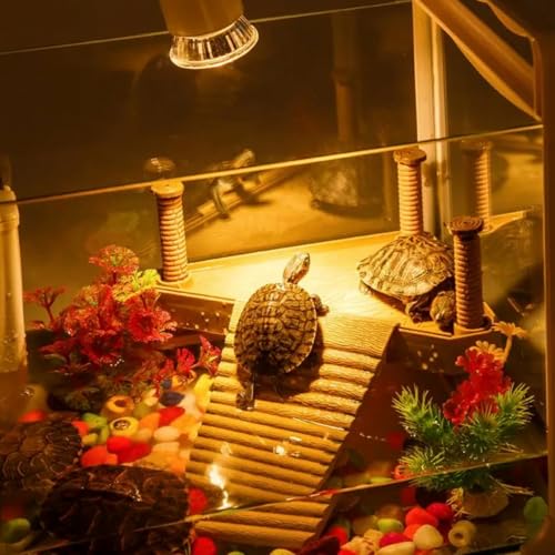 Reptile Heat Lamp, UVA UVB Heat Lamp Bulbs, E26 Turtle Heat Lamp Bulbs 50W 4Pack, Basking Light for Bearded Dragon, Lizard, Snake and Frog - color: 4pcs 50, size: 50 4PCS