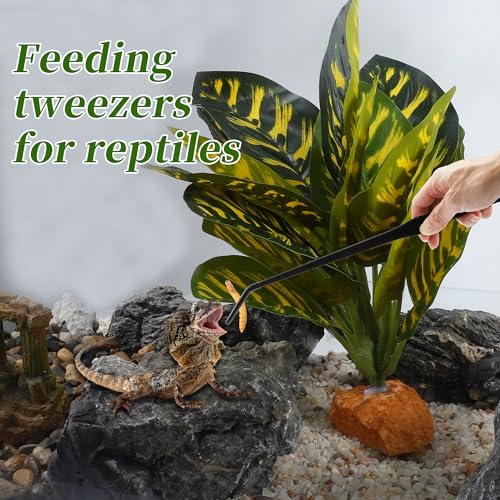 Reptile Feeding Tongs, Stainless Steel Lizard Feeding Tongs, Aquarium Curved Feeding Tweezers for Reptiles with Rubber Tip, Terrarium Feeding Tongs for Gecko, 14.96" Length, Black - size: 14.96"