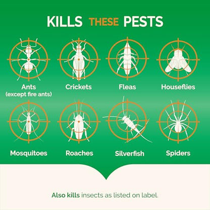 Hot Shot Pest Control Fogger, Kills Roaches, Ants, Spiders & Other Insects On Contact, Controls Heavy Infestations Indoors, 6 Pack - size: 6 Pack, style: Odor Neutralizer