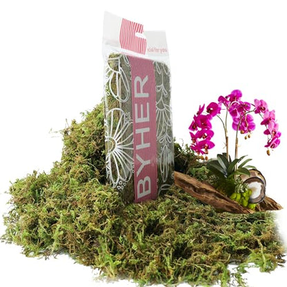 4 OZ Fake Moss for Potted Plants, Artificial Green Moss for Crafts Faux Moss for Indoor Planters Fairy Garden Table Centerpieces Wedding Decoration (Fresh Green)
