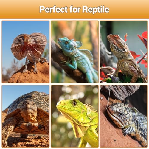100W Reptile Heat Lamp Blub and 26W 10.0 UVB Reptile Light Combo Pack, Basking Spot Light UVA Heat Lamp Bulb and 26W Energy Saving UVB UVA Light for Reptiles Bearded Dragon,Turtles,Lizard