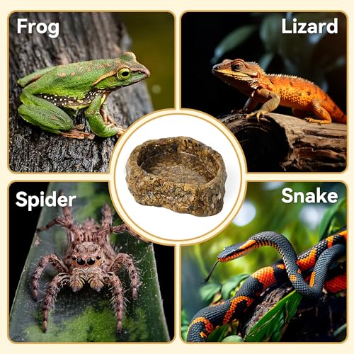 Reptile Water Dish Food Bowl, Resin Rock Bowls for Amphibians | Small Reptile Feeding Bowls for Bearded Dragon Lizard Frog Gecko Tortoise Hermit Crab Snail Spider Snake, Mini Terrarium Bowl