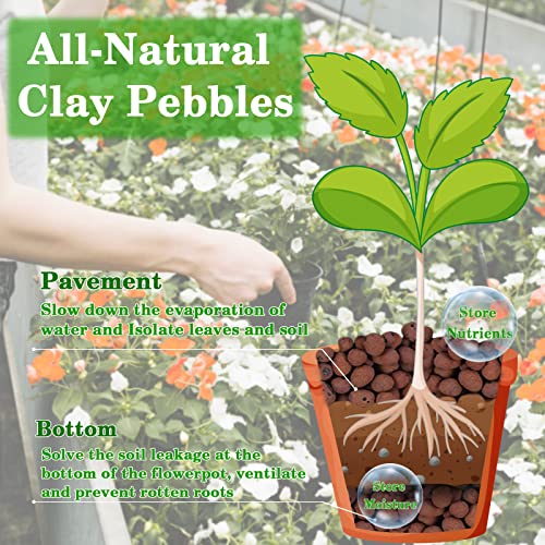 4LB Leca Clay Pebbles for Plants, 4mm-16mm Clay Balls for Hydroponic | Drainage, Reusable, Aeration, Moisture Retention, Lightweight, Natural Leca for Orchids, Succulents, Terrariums, Aquaponics - size: 4LB