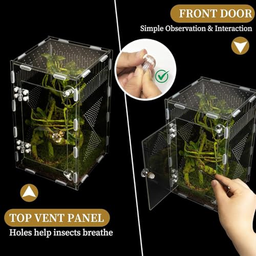 Clear Designs Reptiles Enclosure with Secure Locking Lid and Airflows Vents for Amphibians Easy Observation Terrariums Acrylic Reptiles Terrariums