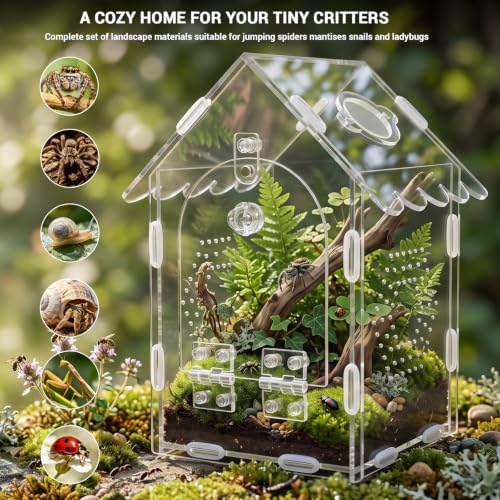 Jumping Spider Enclosure Acrylic Terrarium with Magnetic Lock, Feeding Port | Ventilation，Accessories Included，360° Clear View，Easy to Assemble，Ideal for Mantises Tarantulas Snails