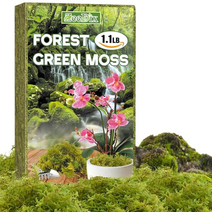 Sphagnum Moss for Repotting, Natural 1.1 lb for Indoor Plants | For Orchids, Succulents, Potted Indoor Plants Natural Sphagnum Retains Moisture, Improves Soil Aeration, Reduces Root Rot - size: 1.1 LB