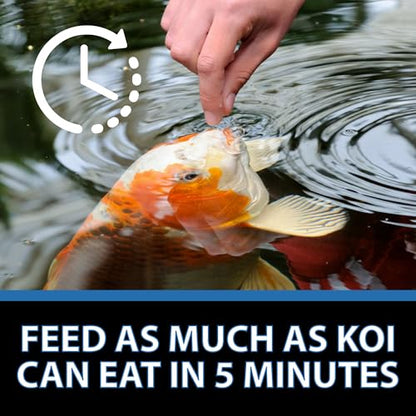 CrystalClear Platinum Fish Food Floating 5mm Pellets, 2.2 Lbs | For Koi & Goldfish, premium nutrition to boost growth, color, and wellness in backyard ponds & water gardens - size: 2.2 Pound (Pack of 1)
