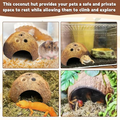 PINVNBY Natural Coconut Reptile Hideouts Lizard, Coco Hut Hermit Crab Hut Aquarium Fish Hide Cave for Small Reptile Crested Gecko Leopard Gecko Spider Snail Climber Toys (2 PCS Natural Surface) - size: 2 PCS Natural Surface