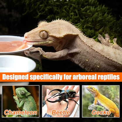 Magnetic Gecko Ledge, Reptile Feeder Ledge with 2 Feeding Cups, Reptile Food & Water Bowl for Arboreal Reptiles, Tree Frogs, Geckos, Beetles, Chameleons - color: Double Bowl
