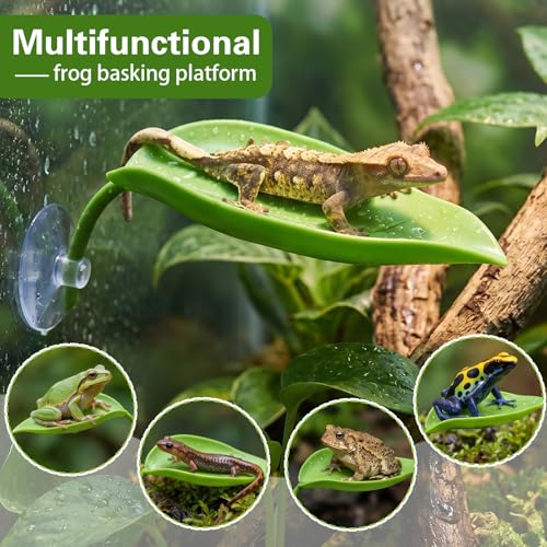3 Pcs Turtle Basking Platform,Leaf Shape Bearded Dragon Basking Platform,Tree Frog Tank Accessories with Suction Cups,Leopard Gecko Tank Accessories,Turtle Tanks Decorations