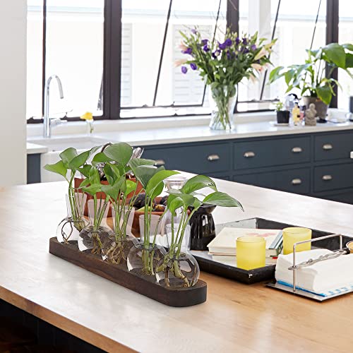 YIBOT Propagation Vases for Plants Terrarium with Wooden Tray,5 Glass Vases | Tabletop Plant Terrarium for Propagating Hydroponic, Retro Glass Planter Flower Vase Home Kitchen Office Decor Gifts - size: 5 Vase-T