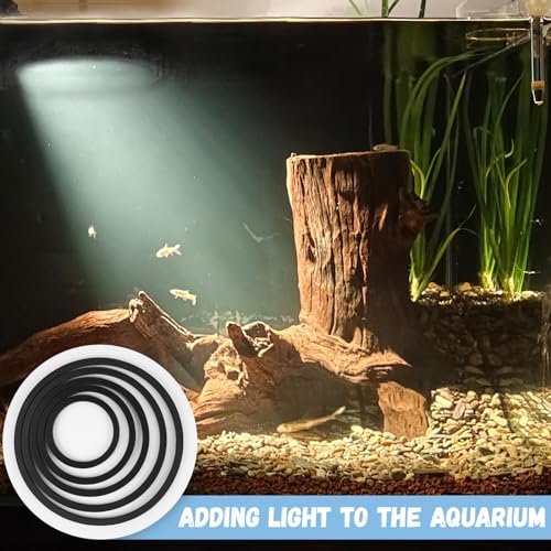5 Pcs Aquarium Floating Plant Corral - 5 Sizes of Floating Plant Ring, Fish Feeding Ring (Black)