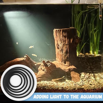 5 Pcs Aquarium Floating Plant Corral - 5 Sizes of Floating Plant Ring, Fish Feeding Ring (Black)