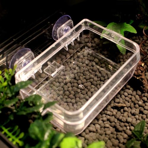TOYANDONA Reptile Feeder Escape-Proof Feeding Box with Suction Cup Large Suspended Water Dish for Pet Geckos and Lizards Terrarium Use