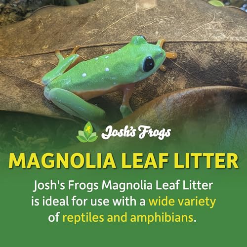 Josh's Frogs Organic Magnolia Leaf Litter, 1 Gallon/40 Leaves | USA Collected