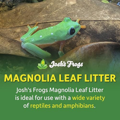 Josh's Frogs Organic Magnolia Leaf Litter, 1 Gallon/40 Leaves | USA Collected
