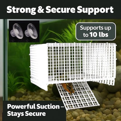 12 PCS DIY Turtle Basking Platform Tools and Accessories for Creative Layouts –Ideal Turtle Tank Accessories (White, Small)