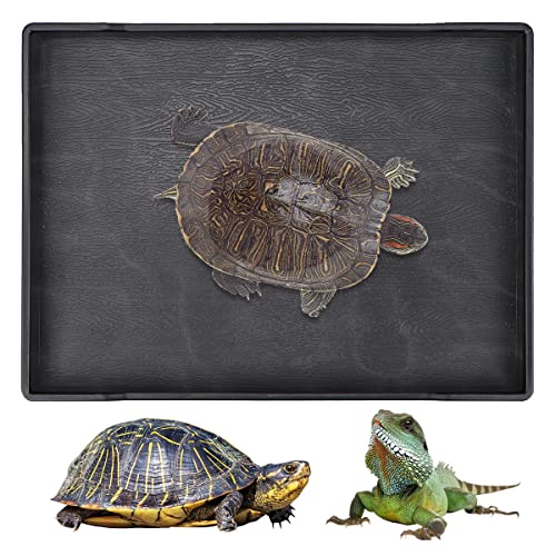 Reptile Food Water Bowl Plate Dish for Tortoise Crawl Pet Drinking and Eating Hallow Water Dish for Reptiles (Size2-M) - size: Size2-M