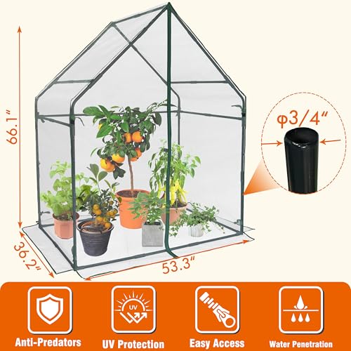 Gardzen Mini Greenhouse with Mesh Cover 36.2"(L) x53.3(W) x66.1(H) | Portable Outdoor Greenhouse, Enhanced Ventilation, Ideal for Spring, Summer & Fall - size: 36”(L) x53”(W) x66”(H)