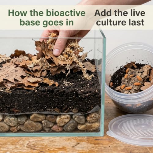 Tree Frog Bioactive Kit - 17qt Premium Bioactive Substrate + 2qt Leaf Litter + 4qt Sphagnum + Charcoal Iso-Flats Hide + 3oz Calcium + 25 Powder Orange Isopods + 8oz Tropical Springtails