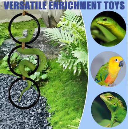 Snake Enrichment Toys Ball,Jungle Gym Ball and Enrichment Rings for Small Ball Python Corn Snakes,Reptiles Climbing Toy,Snake Exploring&Climbing Accessories