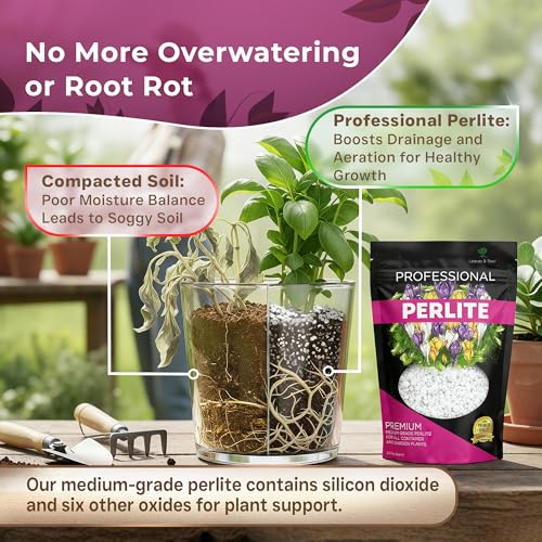 Leaves & Soul Perlite for Plants Medium Grade Perlite 2.2 Qt Soil Additive | Perlite for Plants Improves Drainage, Supports Healthy Root Growth, and Enhances Potting Mix for Thriving Garden Plants - style: Perlite Soil Additive (2.2 Quarts)
