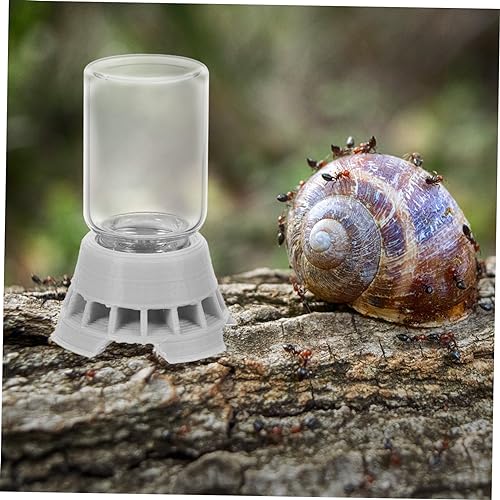Abaodam Simple Ants Water Bowl Liquid Feeder for Ants Reptile Water Dispenser Station Random Color
