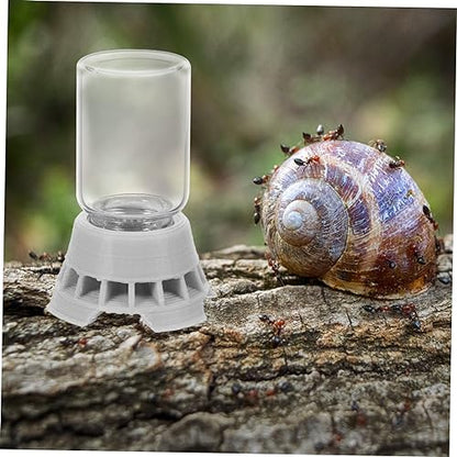 Abaodam Simple Ants Water Bowl Liquid Feeder for Ants Reptile Water Dispenser Station Random Color