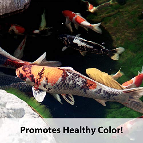 Kaytee Koi’s Choice Koi Floating Fish Food, for Koi, Goldfish and Pond Fish, 10 pounds (Pack of 2) - size: 10 Pound (Pack of 2)