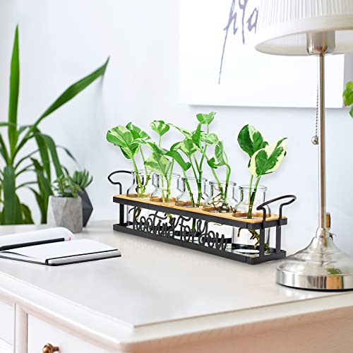 THYGIFTREE Plant Propagation Stations, for Plant Lovers Rooting for You Propagate Jars for Hydroponic Cuttings Propagating Vase - color: Black – 5 Tray Letter