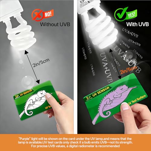 UVB Reptile Light Bulbs 10.0: 26W High Output UVB Light for Bearded Dragon, 2 Pack UVA UVB Light for Reptiles, Reptile UVB Bulb Compact Fluorescent Terrarium Lamp for Tortoises- UV Sensor Test Card - size: 6.5INCH-10.0