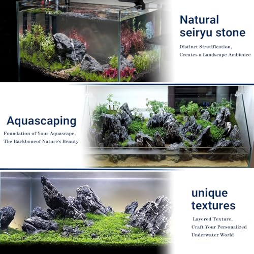 Aquarium Rocks Seiryu Stones Natural Hardscape Stone for Aquariums, Fish Tanks, Bonsai, Terrariums, Wargaming Dioramas, Indoor or Outdoor Gardens-5lb(2-6 Inch) - size: 5Lb (2-6 inch)