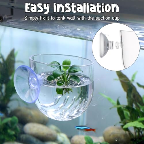 Gjinxi Aquarium Plant Holder 2 Pcs, Fish Tank Plant Pot Aquatic Plant Cup | Clear, Acrylic, Red Worm Fish Shrimp Feeder, Aquarium Planter Cup, with Suction Cup, for Home Fish Tank, Aquascape Decor