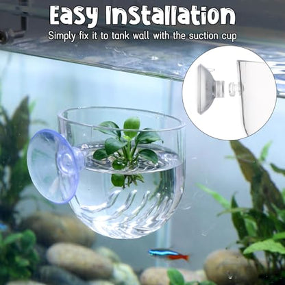 Gjinxi Aquarium Plant Holder 2 Pcs, Fish Tank Plant Pot Aquatic Plant Cup | Clear, Acrylic, Red Worm Fish Shrimp Feeder, Aquarium Planter Cup, with Suction Cup, for Home Fish Tank, Aquascape Decor