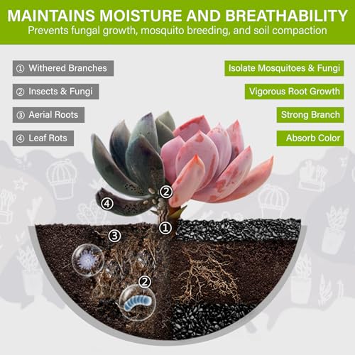 NUPICK 3lb River Rocks for Plants Indoor, Black Pebbles for Vases Fillers | 1/5 Inch Decorative Pea Gravel for Fish Tank, Natural Polished Stones for Succulent, Bonsai, Landscaping, Bird Baths - color: BLACK, size: 3Lb(1/5")