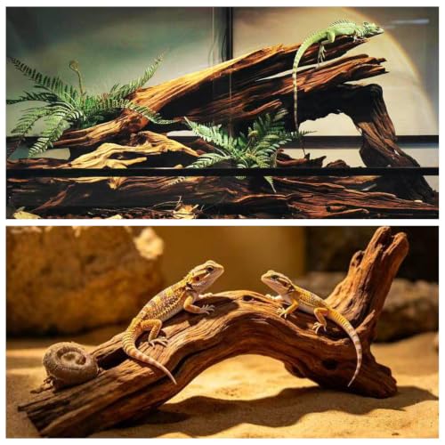 Hamiledyi Reptile Wood Branches 16" Length Snake Climbing Branch Lizard Habitat Natural Wood Decoration Bearded Dragon Climbing Accessories for Leapord Gecko